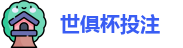 2025世界俱乐部杯